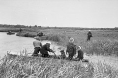 img459