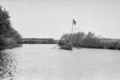 img463