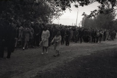 img410