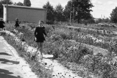 img203