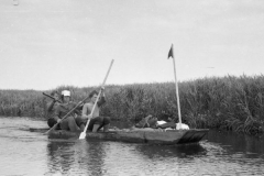 img747