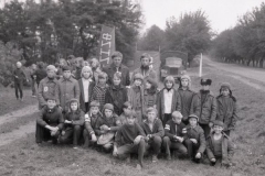 img771