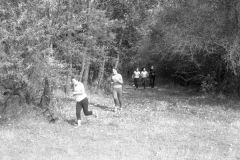 img314