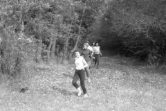 img315
