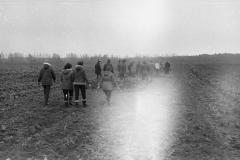 img033