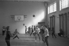 img919