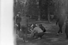 img123