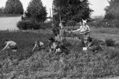 img798