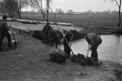 img163_lesnaja-ponton