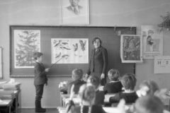 img741