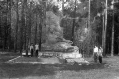img1002_pruskovskij-les