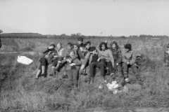 img251