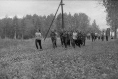 img261
