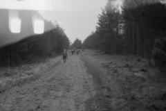 img456
