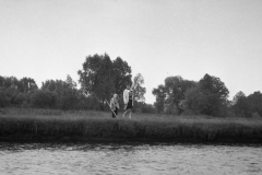 img359