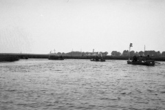 img361