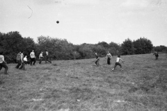 img386