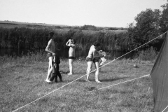 img391