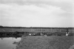 img335