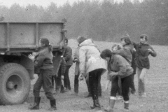 img342