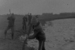 img343
