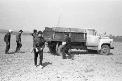 img065