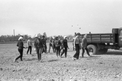 img068
