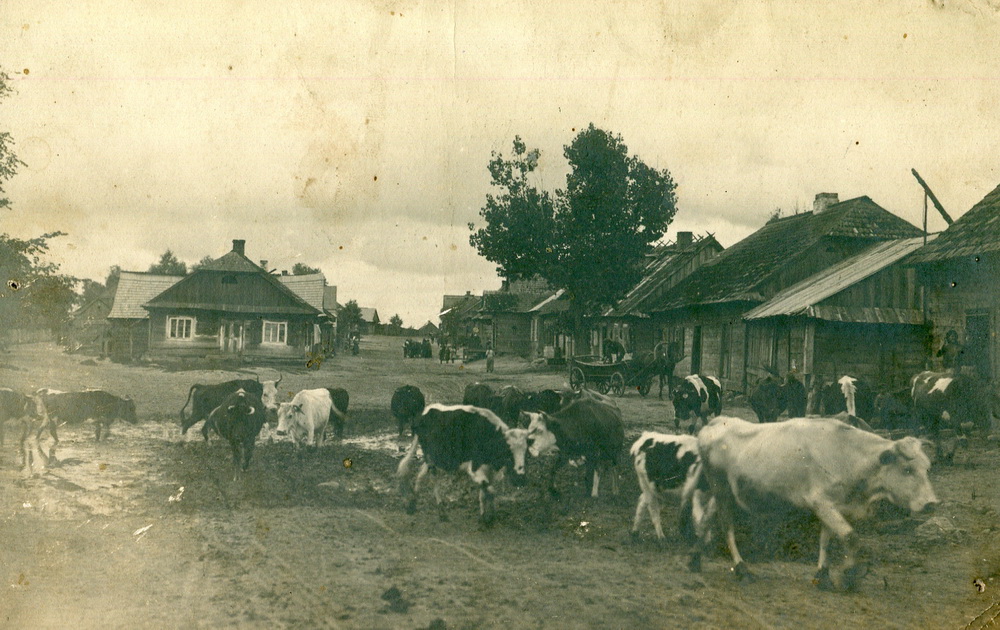Замосты, 1912-1914 годы